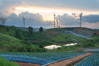 L'importance des énergies renouvelables dans la transition écologique mondiale