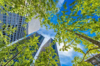 Construire vert : les secrets des bâtiments écologiques !