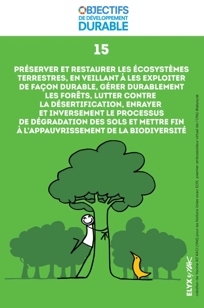 Les clés pour une ville plus verte : l'importance des politiques publiques