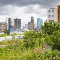 Projets de durabilité urbaine: stratégies de résilience en face du changement climatique