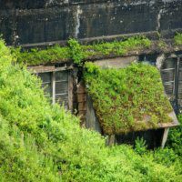 Comment les toits verts peuvent aider à atténuer l'effet d'îlot de chaleur urbain