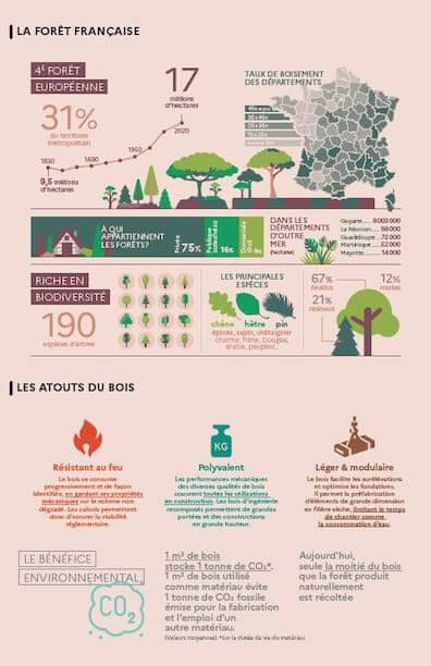 L'impact des environnements naturels sur la stabilité des bâtiments